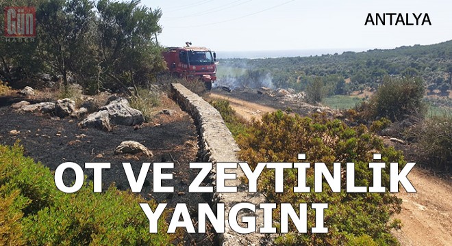 Kaş'ta ot ve zeytinlik yangını