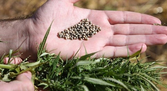 Kaş'ta uyuşturucu operasyonu