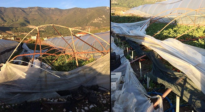 Kaş'ta yağmur ve hortum seraları vurdu