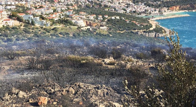 Kaş'ta zeytinlik ve fundalık alanda yangın