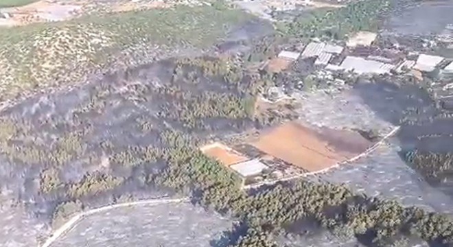 Kaş'taki orman yangını kontrol altında