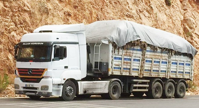 Kaş ve Demre'den THK'ya 9796 deri toplandı