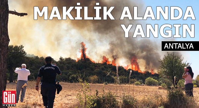 Kaş ta makilik alanda yangın