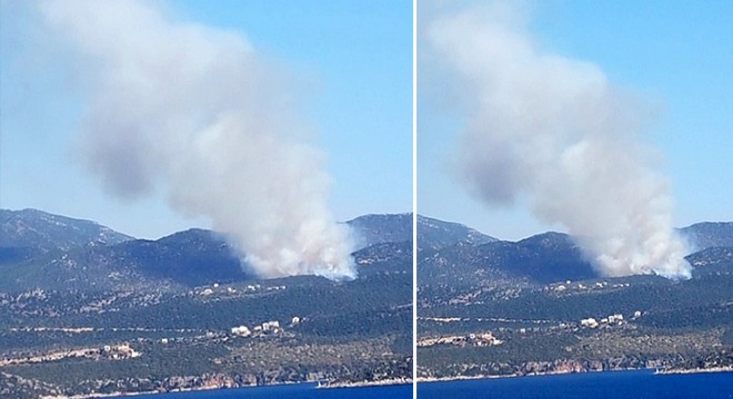 Kaş ta makilik ve zeytinlikte yangın