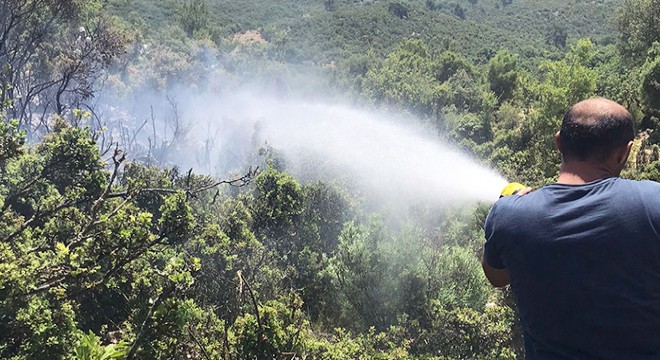 Kaş ta makilik yangını