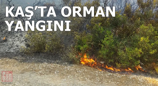 Kaş ta orman yangını