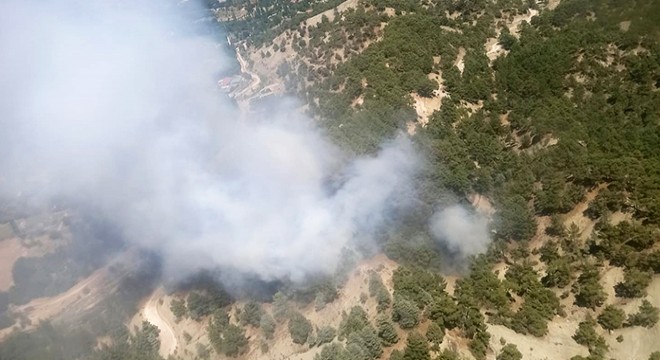 Kaş ta orman yangını