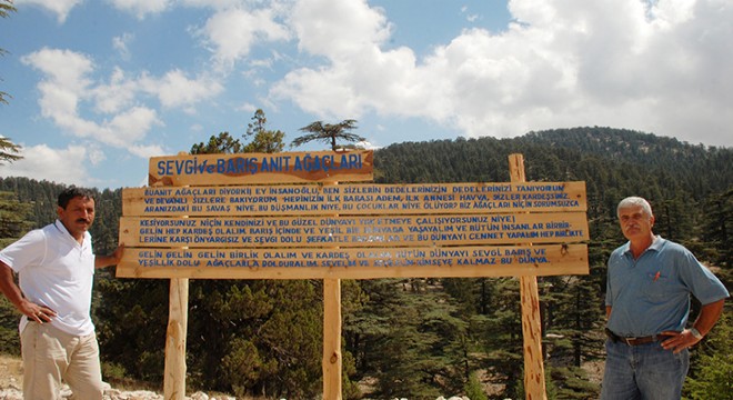 Kaş taki sedirler,  Dostluk Sevgi Barış Anıt Ağaçları  olsun önerisi