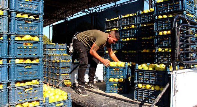 Kasanın fiyatı, içindeki limonu geçti