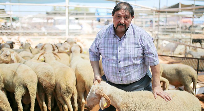 Kasaplardan markette 'mini koç' satışına tepki