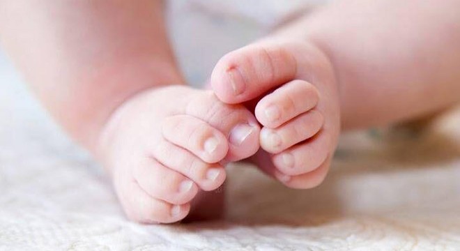 Katı atık ayrıştırma tesisinde bebek cesedi bulundu