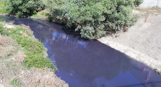 Kavak Deresi'ne kimyasal karıştı