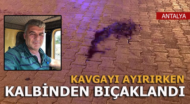 Kavgayı ayırmak isterken bıçaklanarak öldürüldü