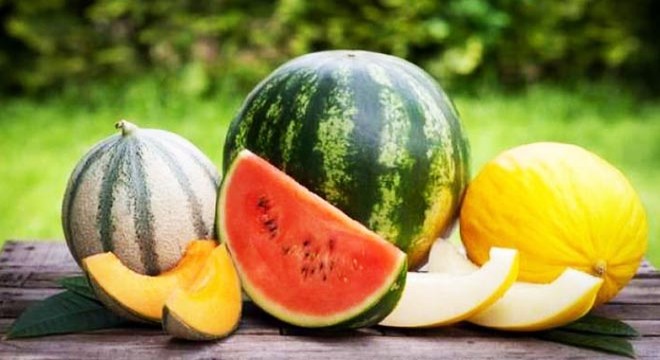 Kavun ve karpuz üreticileri önerilen fiyattan şikayetçi