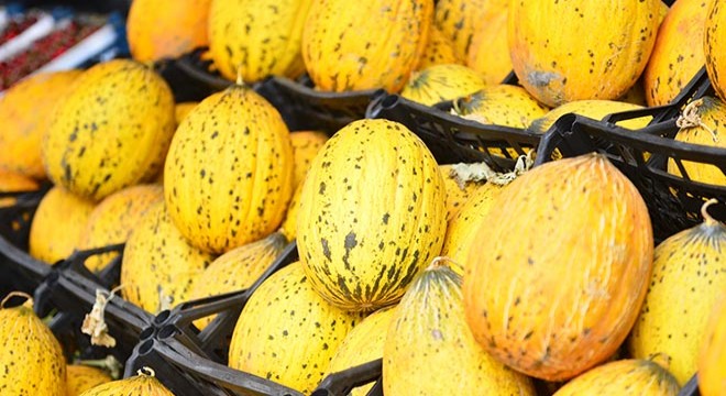 Kavun ve karpuzda tarla, hal ve market fiyatları arasında uçurum oluştu