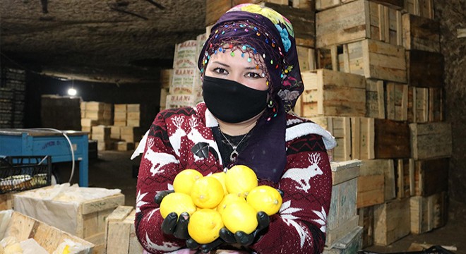 Kayadan oyma soğuk hava depolarında 90 bin ton limon stoklandı