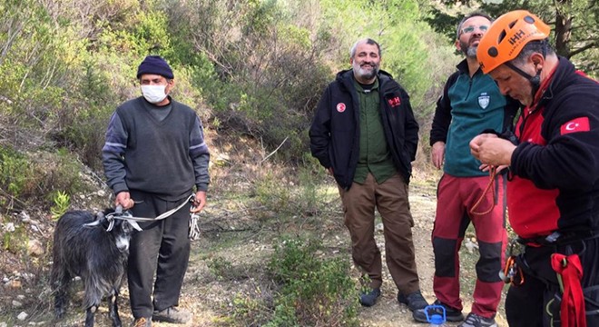 Kayalıklarda mahsur kalan keçi kurtarıldı