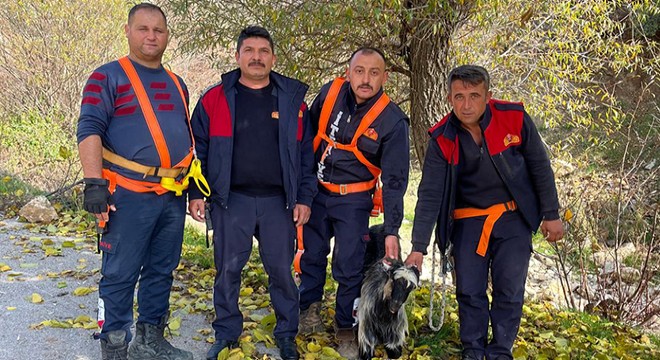 Kayalıklarda mahsur kalan keçi kurtarıldı