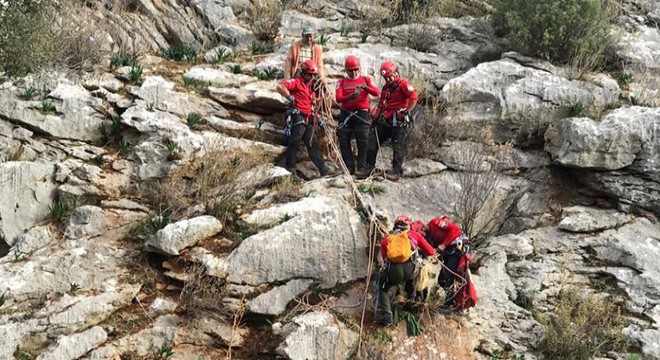 Kayalıklarda mahsur kalan yavru keçiler, 7 saatte kurtarıldı