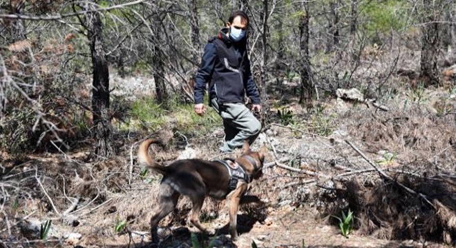 Kayıp Ahmet hemşire, kadavra köpeği ve dron ile aranıyor