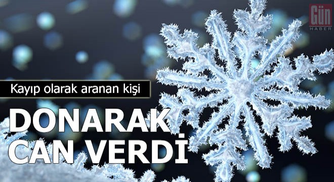 Kayıp olarak aranan kişi, donarak can verdi