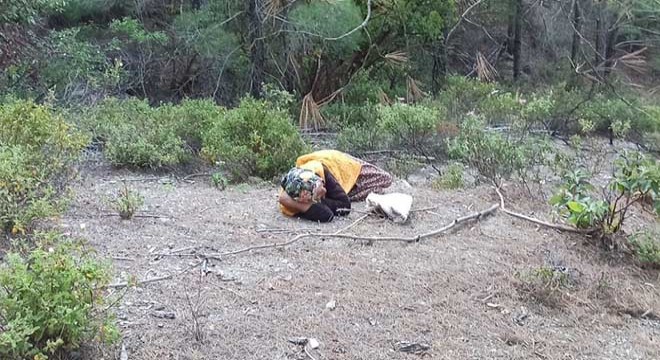 Kayıp olarak aranıyordu, ormanda uyurken bulundu