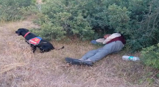 Kayıp zihinsel engelliyi iz takip köpeği 'Roka' buldu