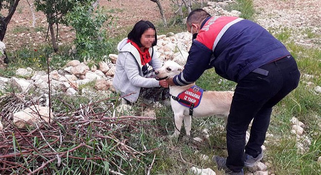 Kayıp kız, ilaç içince arazide uyuyakalmış