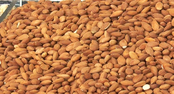 Kayısı çekirdeğinden yıllık 20 milyon dolar gelir