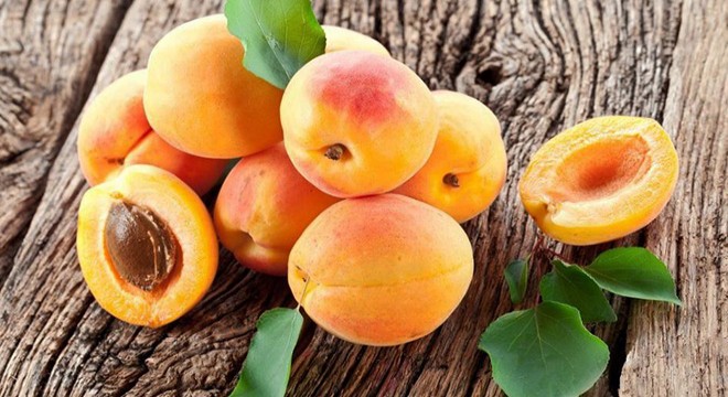 Kayısı toplamak için çıktığı ağaçtan düşerek öldü