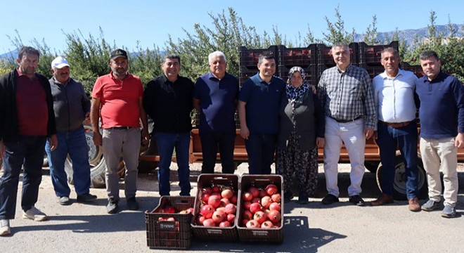 Kaymakam Çakıcı nar hasadına katıldı