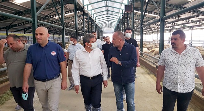 Kaymakam Özder, koyun üretim çiftliğini inceledi