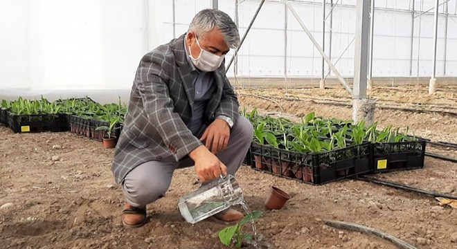 Kaymakam Yiğit'ten çiftçilere ziyaret