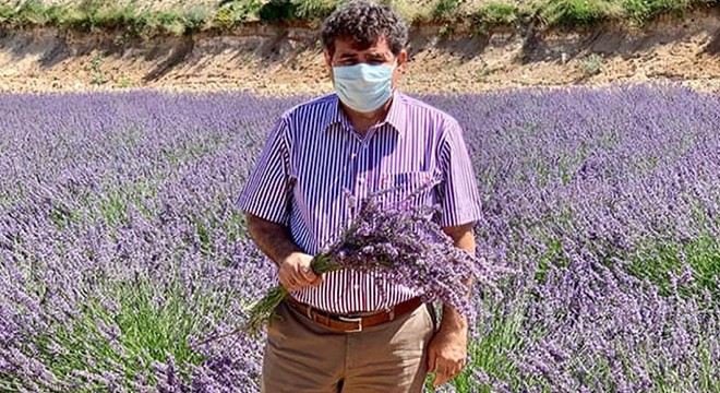 Kaymakam Tortop, lavanta tarlasını inceledi