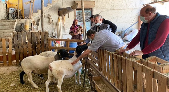 Kaymakam Tortop üreticileri ziyaret etti