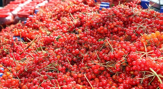 Kayseri de iki ilçenin  gilaburu  rekabeti