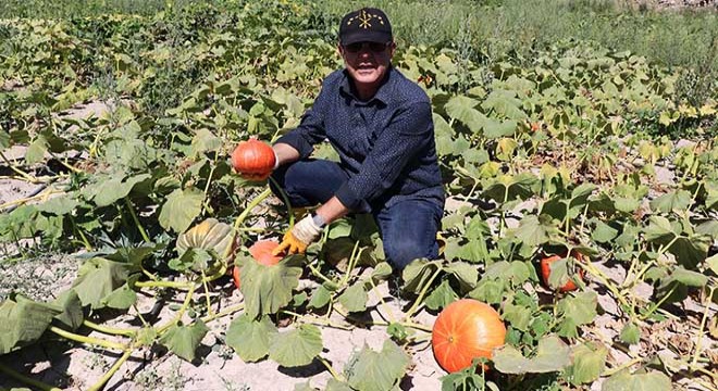 Kayserili çiftçi, 130 çeşit sebze yetiştirdi