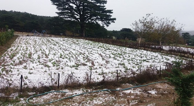 Kaz Dağları'na mevsimin ilk karı