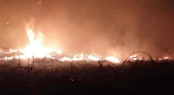 Kaz Dağları’nda yangın çıktı