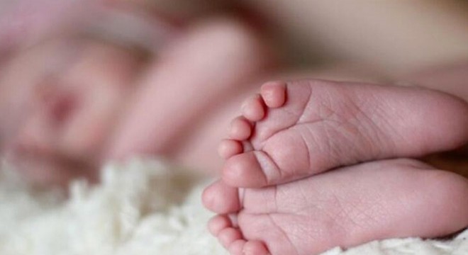 Kaz havuzuna düşen 1.5 yaşındaki ikizler boğuldu