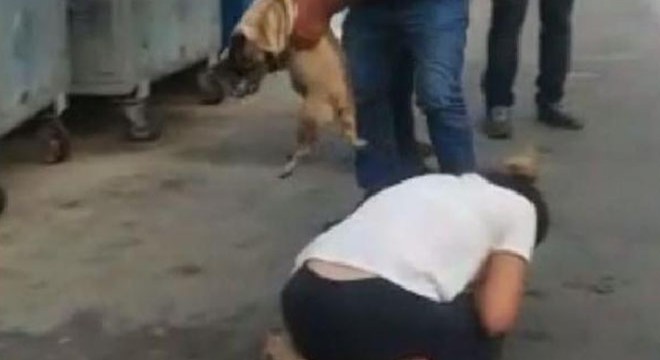 Kazada ölen köpeğini görünce sinir krizi geçirdi