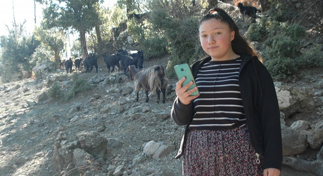 Keçilerini otlatırken canlı derse giriyor