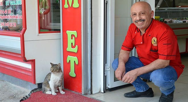Kedi 'Yeşim'den sonra şimdi köpek 'Nazike'