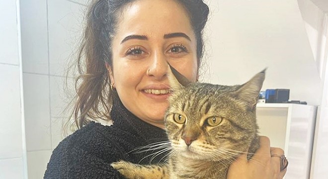 Kedi, asma tavanı çökertti
