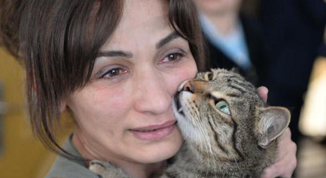 Kedi, evde çıkan yangında sahibini kurtardı