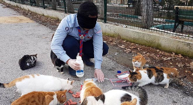 Kedi- köpek korkusunu, gözleri kapalı besleme yaparak yendiler