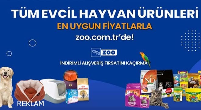 Kedi Maması ve Kedi Malzemeleri Ekonomik Fiyat Etiketiyle Zoo.com.tr ‘de!