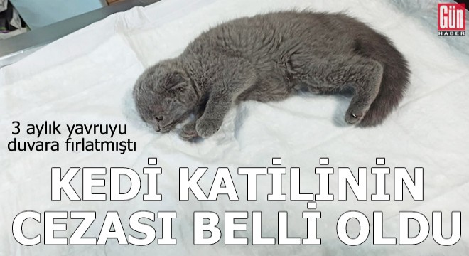 Kedi katilinin cezası belli oldu