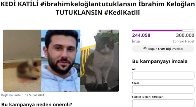 Kedi katilinin tutuklanması için 250 bin imza