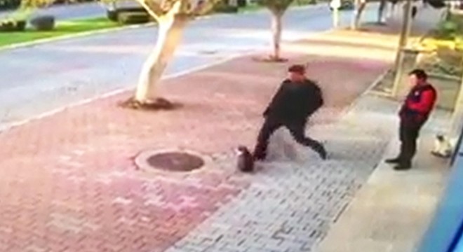Kedileri tekmeleyen kişi hakkında yasal işlem başlatıldı